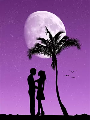 夜枭子的实力