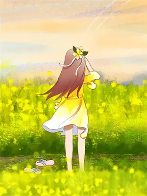 你和我的夏天