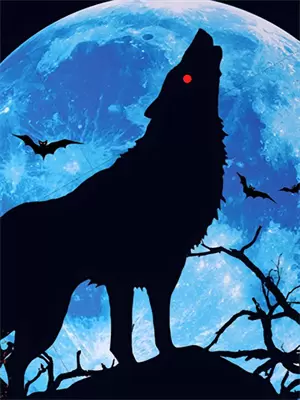 再见荧火虫原唱