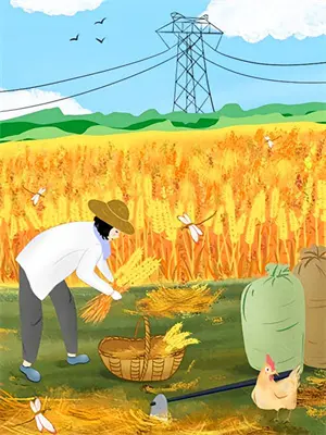 白杨叶落，爱恨随风